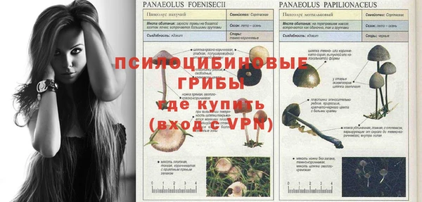 тгк Абаза
