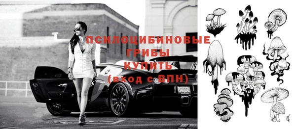 тгк Абаза