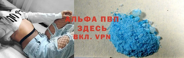 тгк Абаза