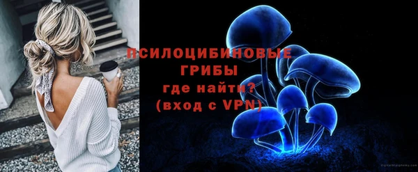тгк Абаза