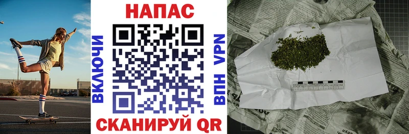 Шишки марихуана гибрид  Чегем 
